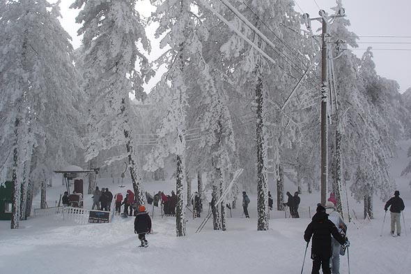 Aphrodite lift in Cyprus