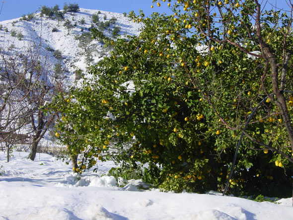 Snow scenery in Cyprus