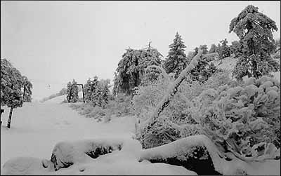 Skiing in Cyprus - Nature