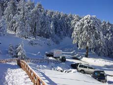 Troodos under snow