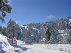 Heavy snow in Troodos
